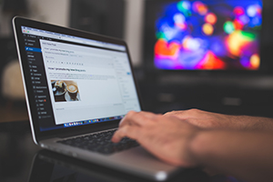 wordpress-300.jpg