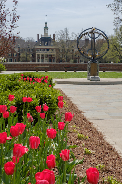 spring-scenery.jpg