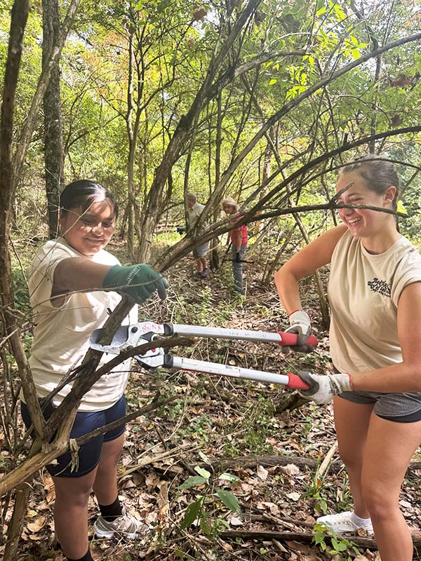 two students clear honeysuckle in the natural areas