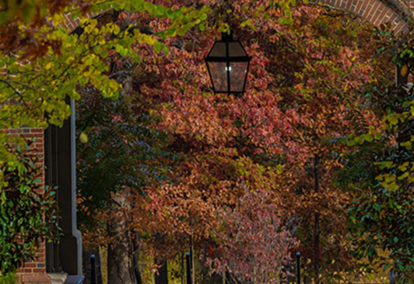 upham arch and fall leaves