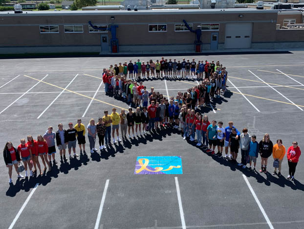  mental health and wellness in K-12 schools