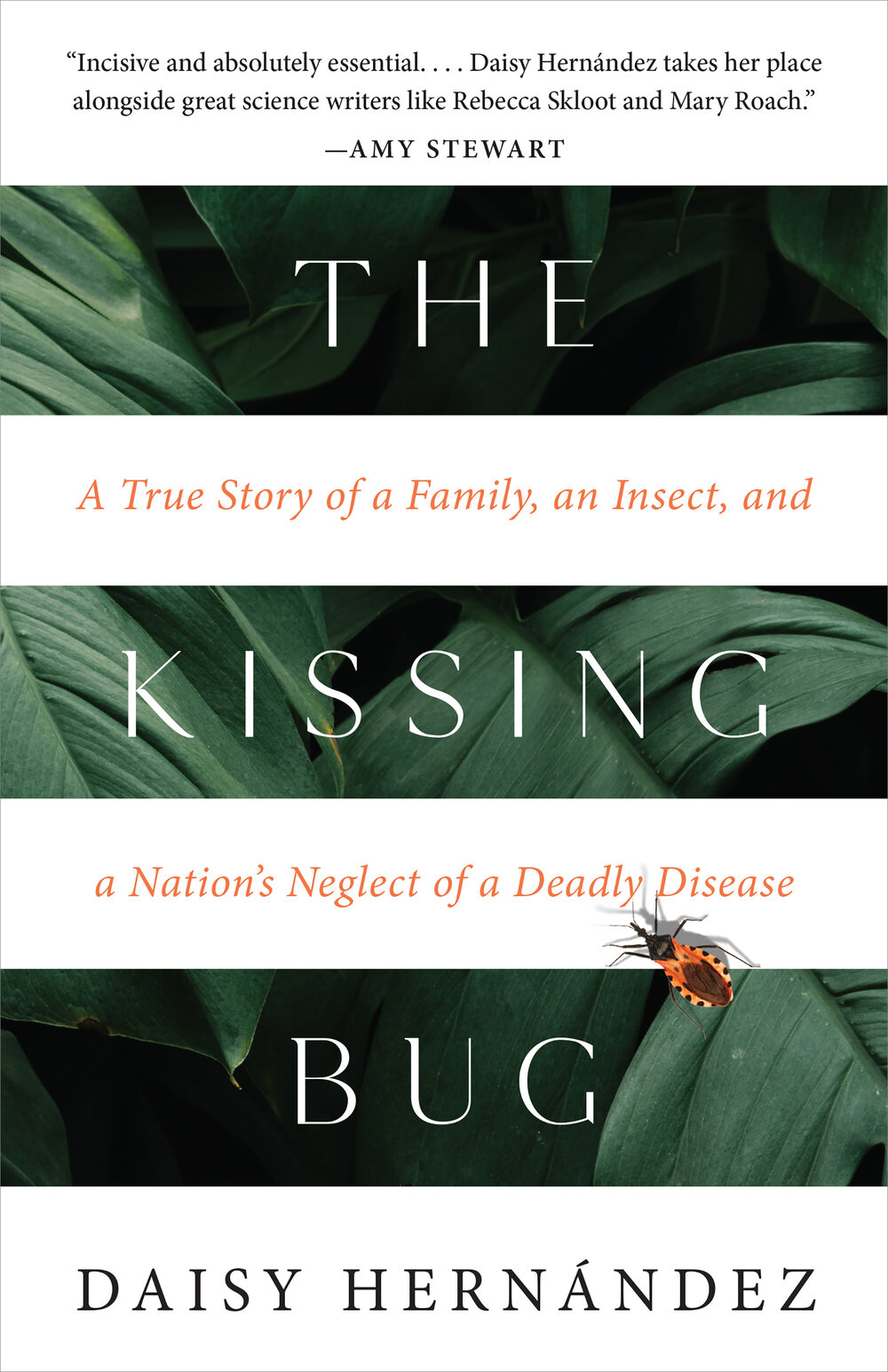 daisy-hernandez-the-kissing-bug-cover.jpeg