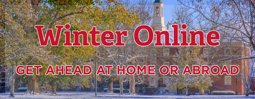 Winter Online: Get ahead at home or abroad