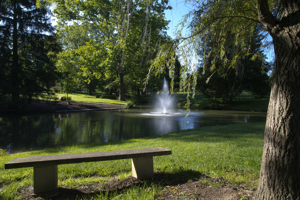  a bench by a tree overlooking the pond and fountain at dogwood grove.