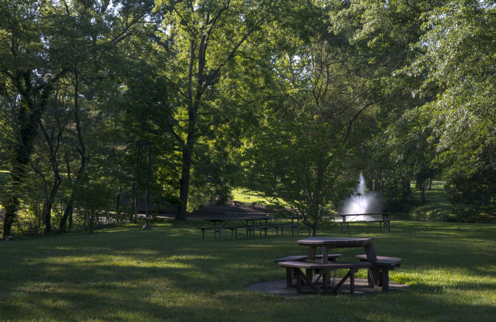 picnic tables and grills in the grass of dogwood grove. 