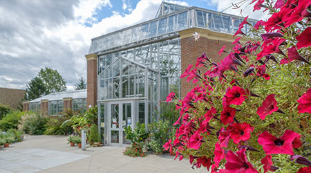 The outside of the Conservatory with pink potted plant. 