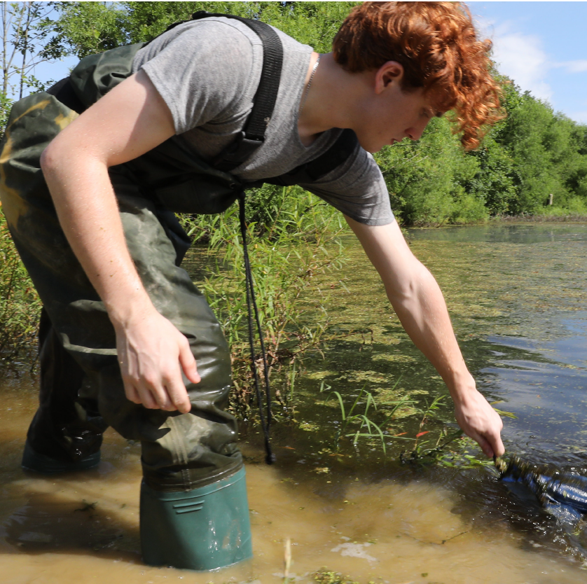 A student doing research in the Shaker Trace Wetlands