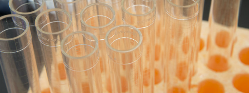 A bunch of test tubes close up.  