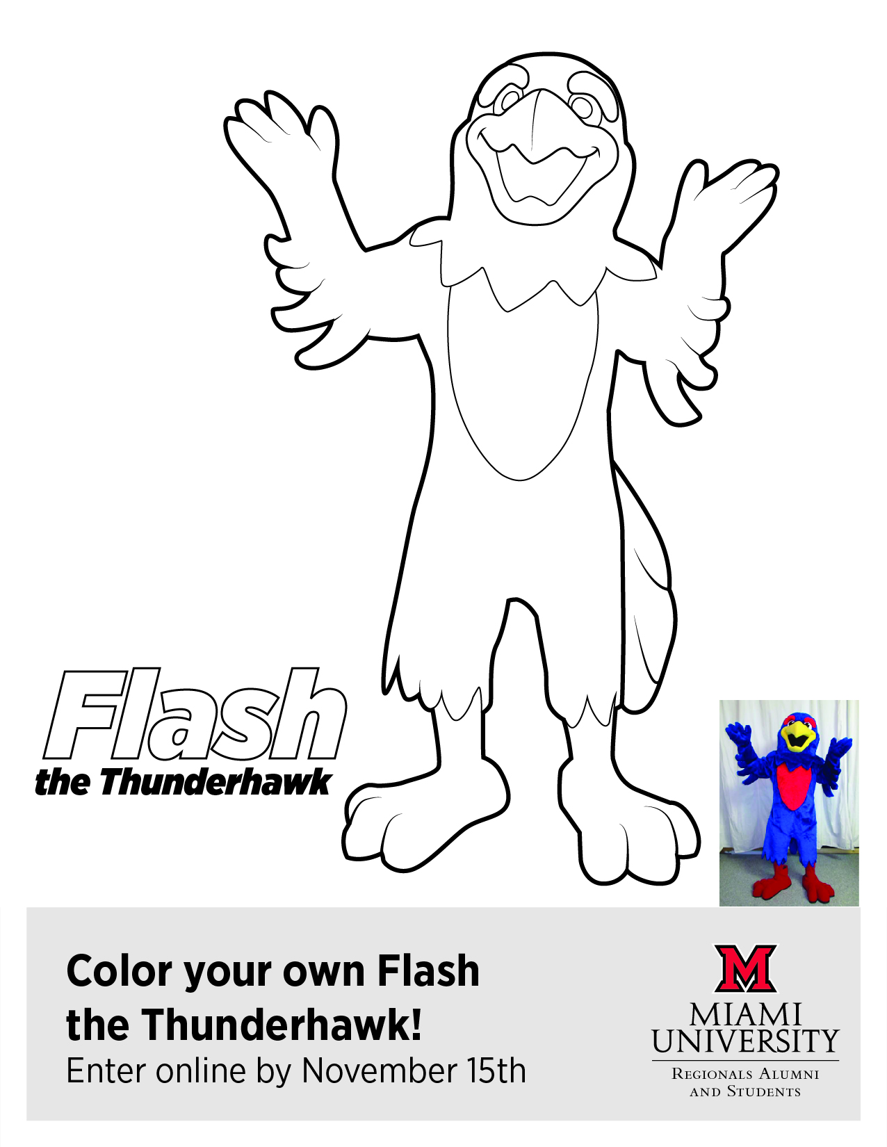 Flash the Thunderhawk