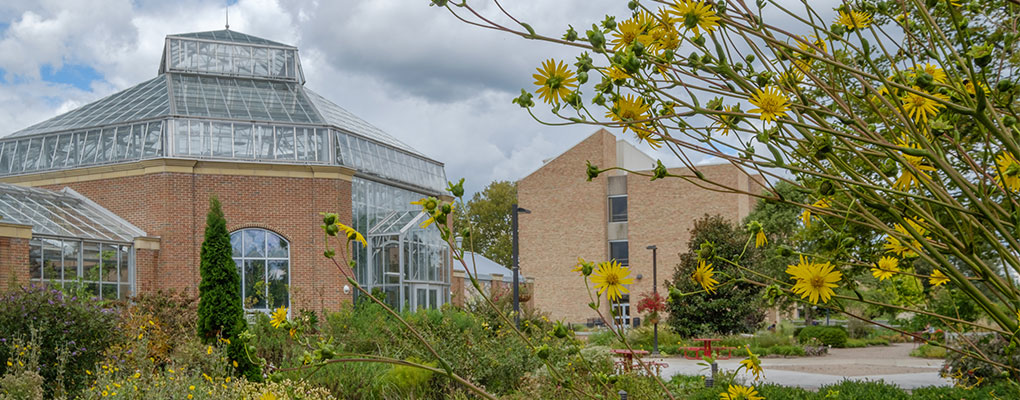 Exterior of the conservatory with yellow flowers 