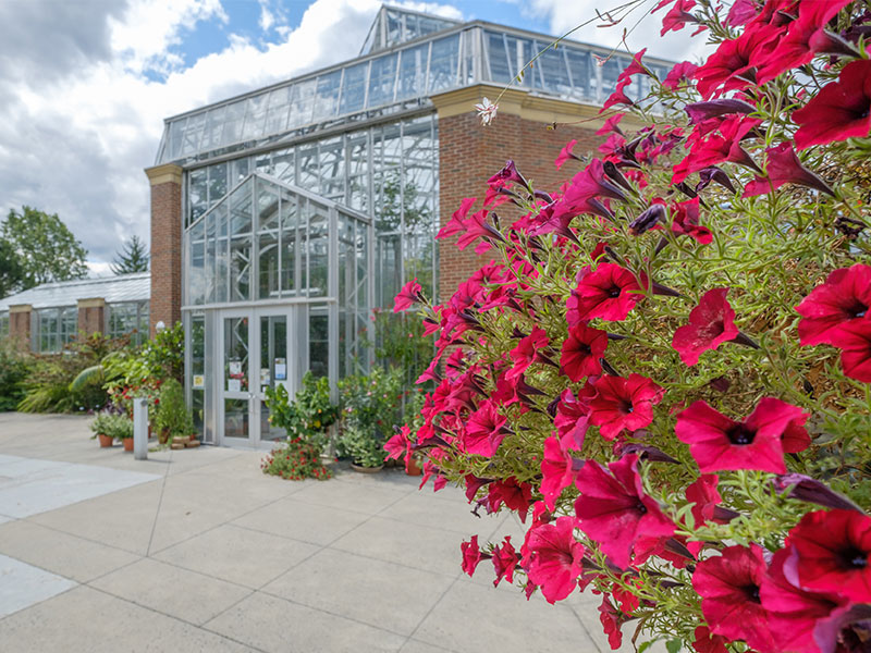  Outside of the conservatory entrance with a hanging flower pot with red flowers on the right hand side