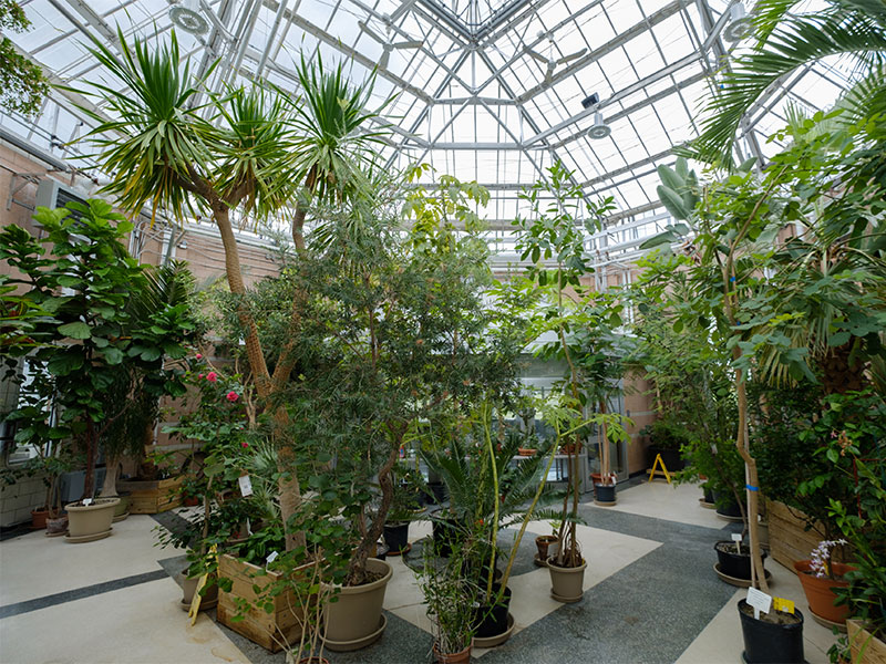 Full inside of the atrium with plants