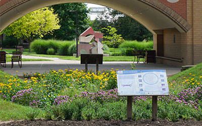 An archway in the background with green and yellow plants and a sign on the rain garden.