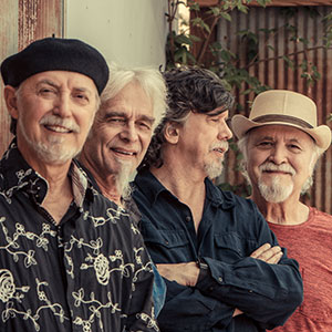 Image of The Subdudes