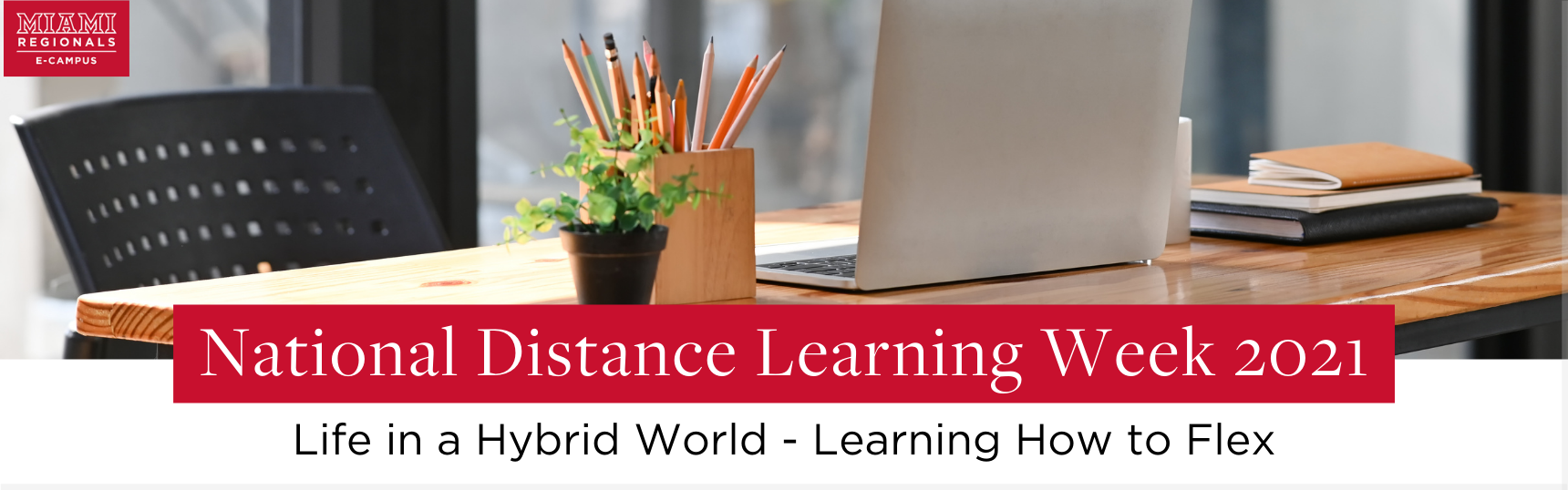 National Distance Learning Week 2021 - Life in a Hybrid World, Learning How to Flex 