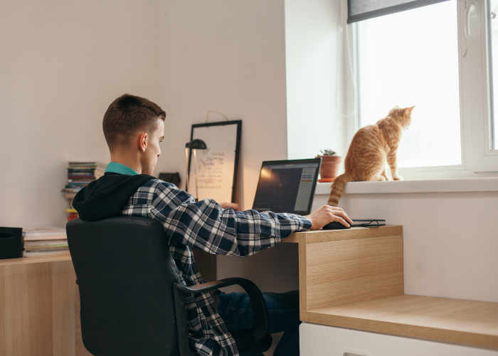 man on his computer at a desk with a cat in the window
