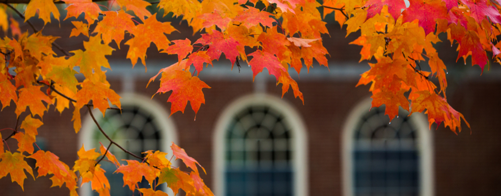 Fall leaves over a campus building