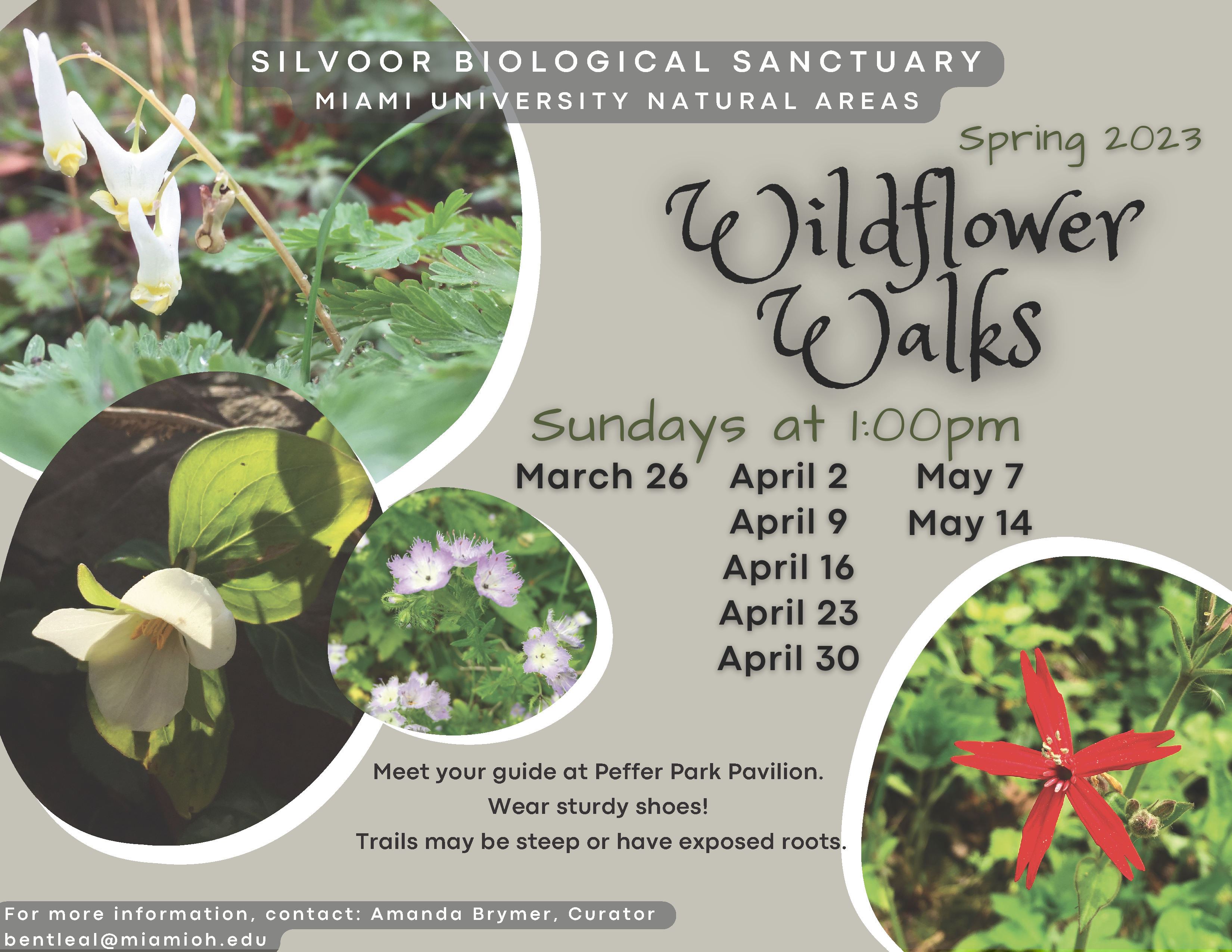 Spring Wildflower Walks. Sundays at 1 p.m. March 26 - May 14. Meet your guide at the Peffer Park Pavilion. Contact: Amanda Brymer, bentleal@miamioh.edu
