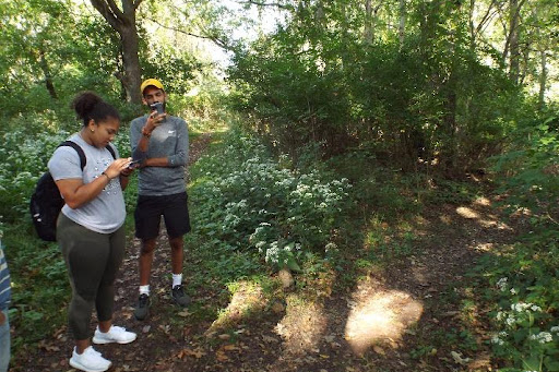 Two students in the woods, looking at phones