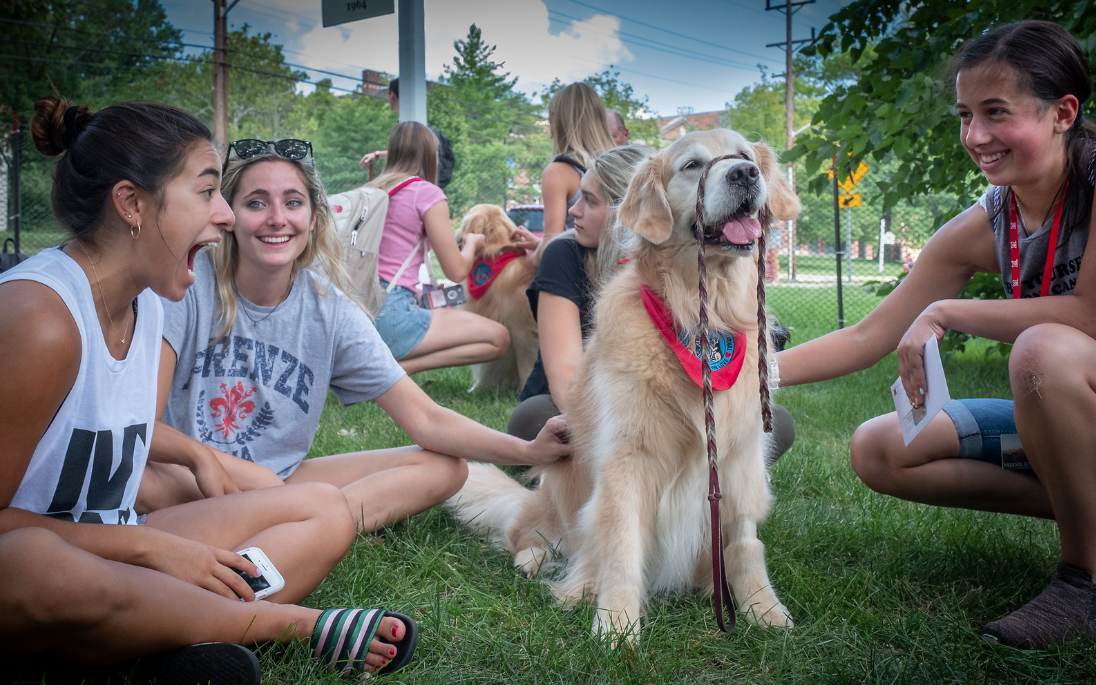 Students petting a golden retriever at a Welcome Week Event