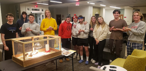 Arnie, the chinchilla, visits students in Hahne Hall with his handler from Cool Critters Outreach.  