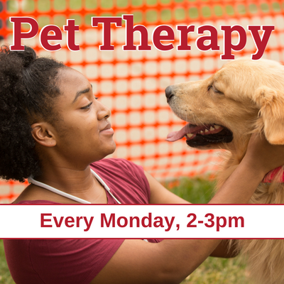 Dog being pet by student with text: Pet Therapy. Every Monday 2-3pm. 