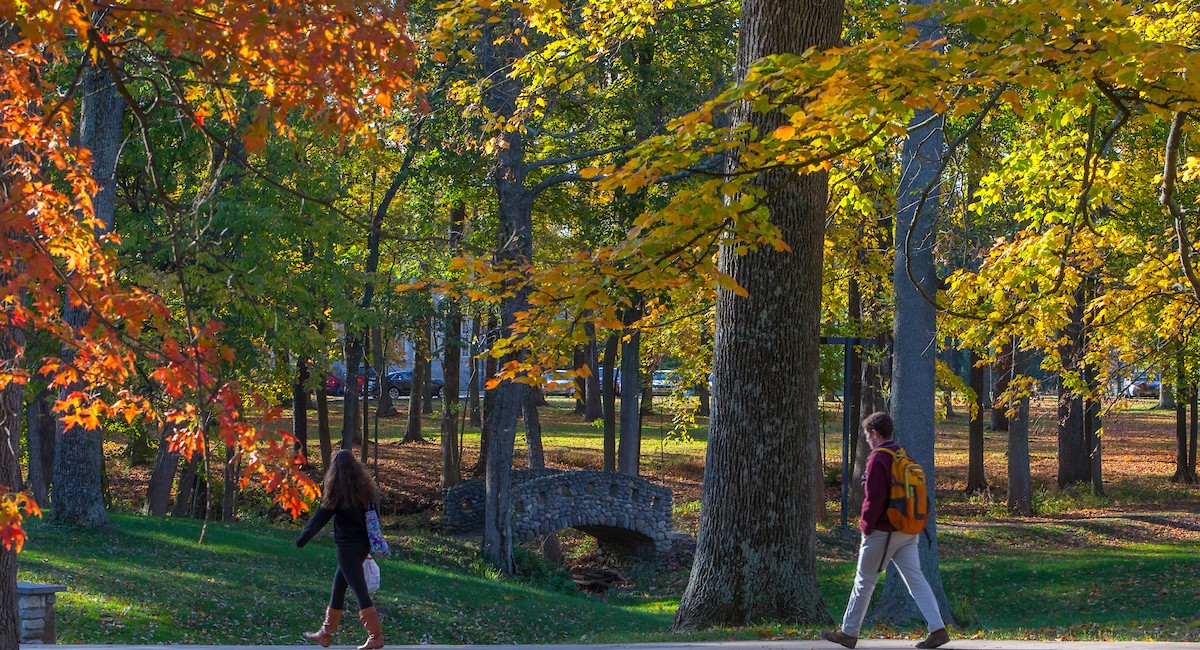 students walking on path in fall through trees with multicolored leaves