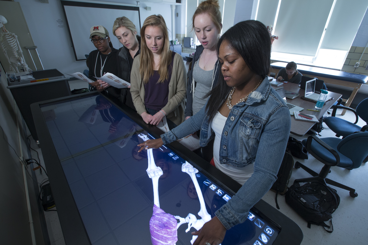 Students use an Anatomage in a Kinesiology lab.